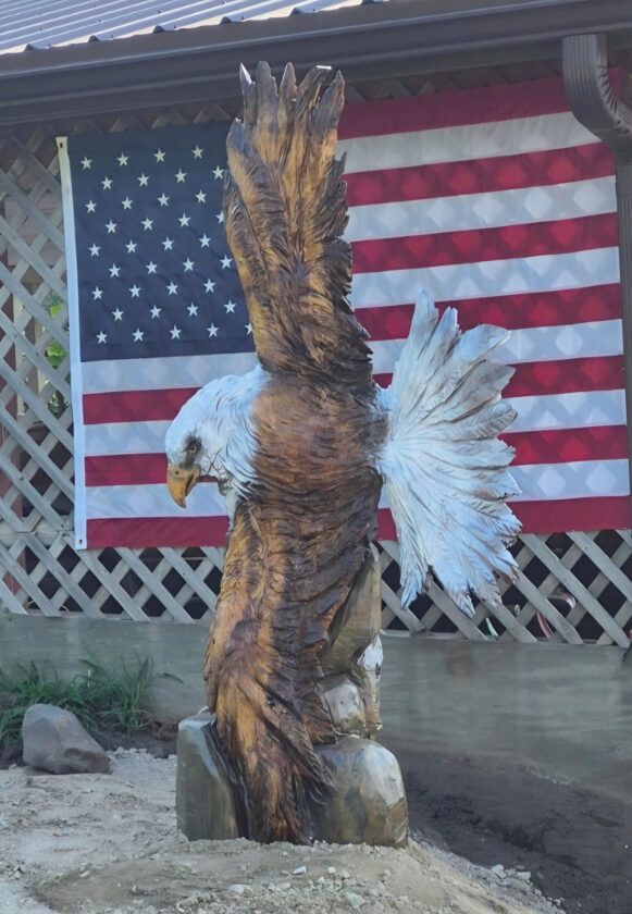 Fiber artist/chainsaw wood carver shares creative process | News